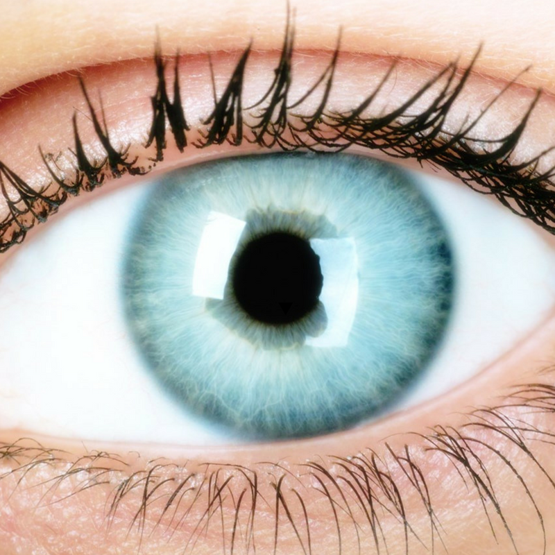 Kontaktna sočiva u boji u optici Jovović