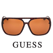Guess - Aviator / Pilot - Oversize - Dark / Havana