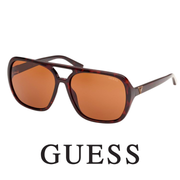 Guess - Aviator / Pilot - Oversize - Dark / Havana