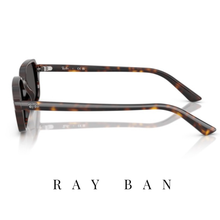 Ray Ban - Zuri - Polished / Havana - Unisex