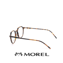 Morel Eyewear - Hexagonal -Havana Brown
