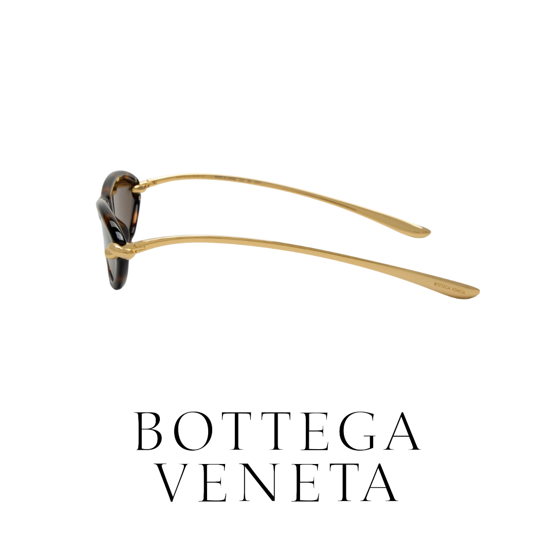 Bottega Veneta - Cat - Eye - Havana
