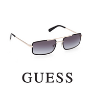 Guess - Mini - Gray