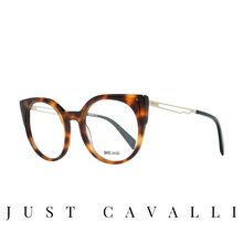 Just Cavalli Eyewear - Round - Havana/Gold