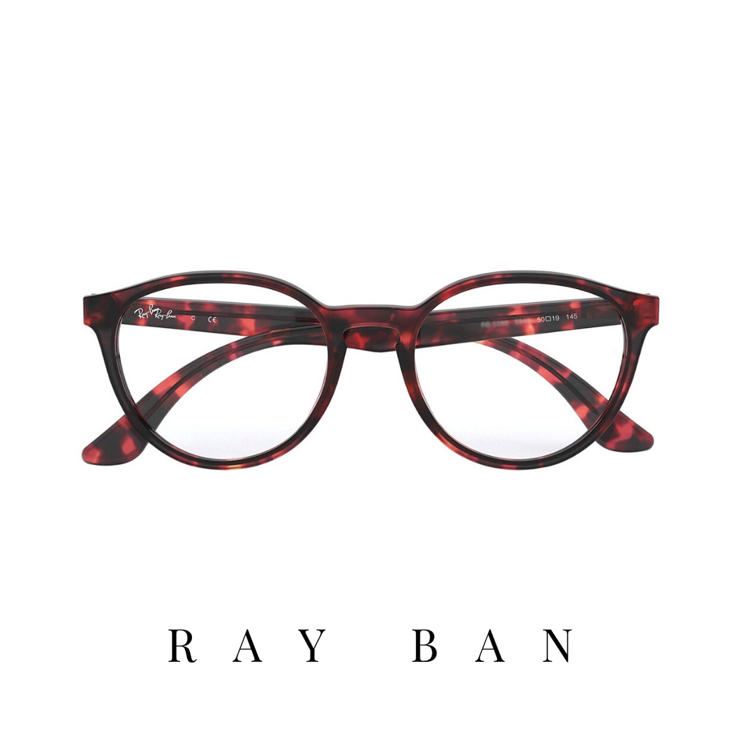 Ray Ban Eyewear - Round - Red Havana